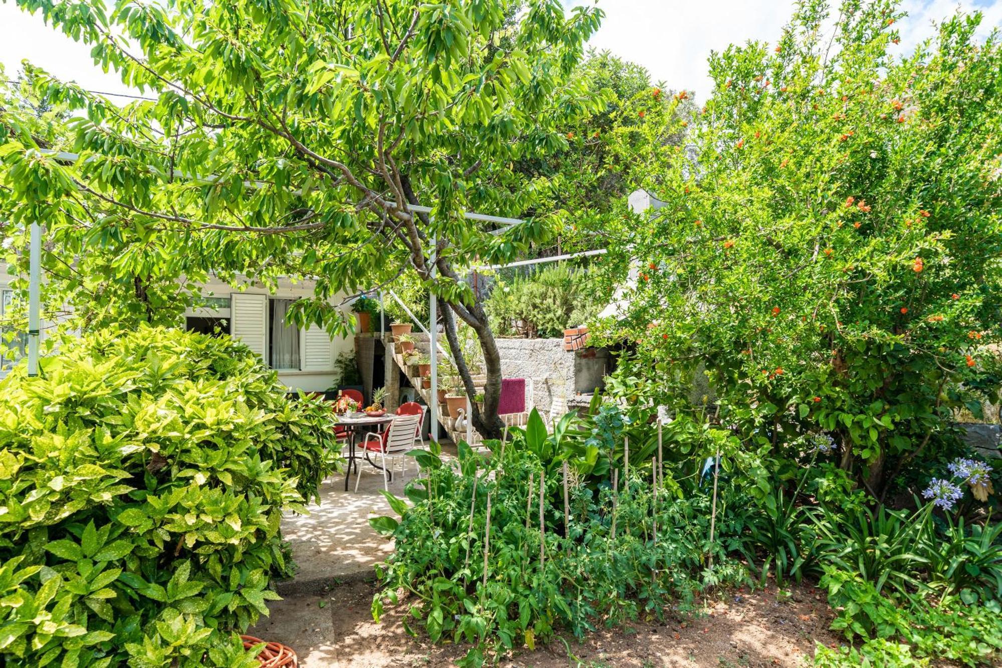 Apartments Zarac Dubrovnik Room photo